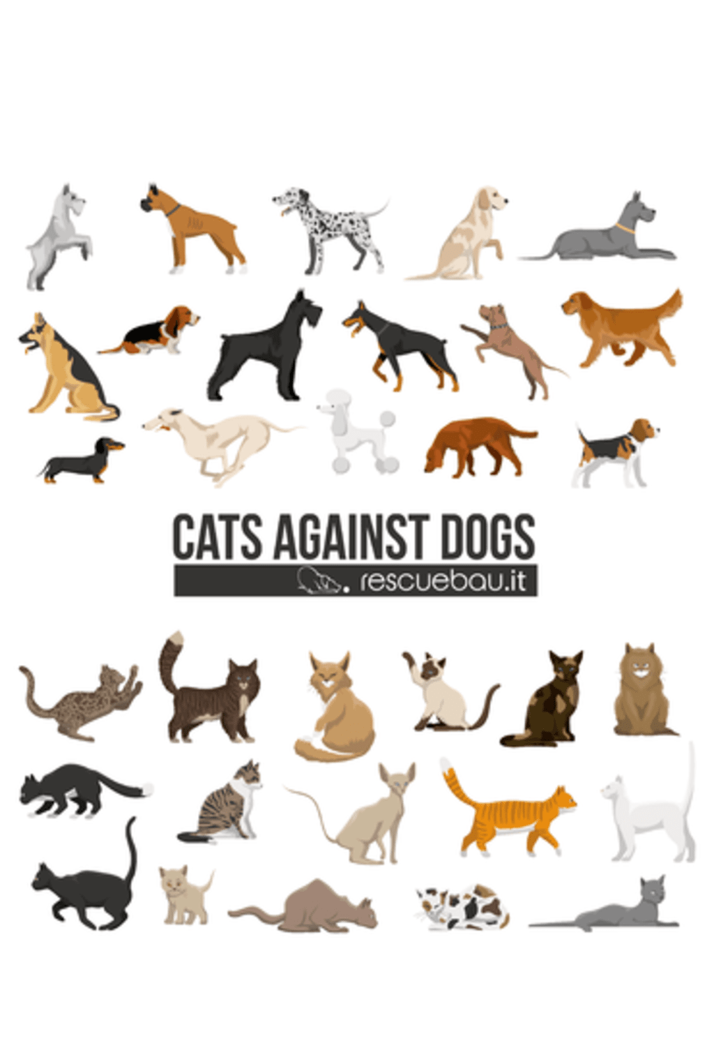 Cats Against Dogs