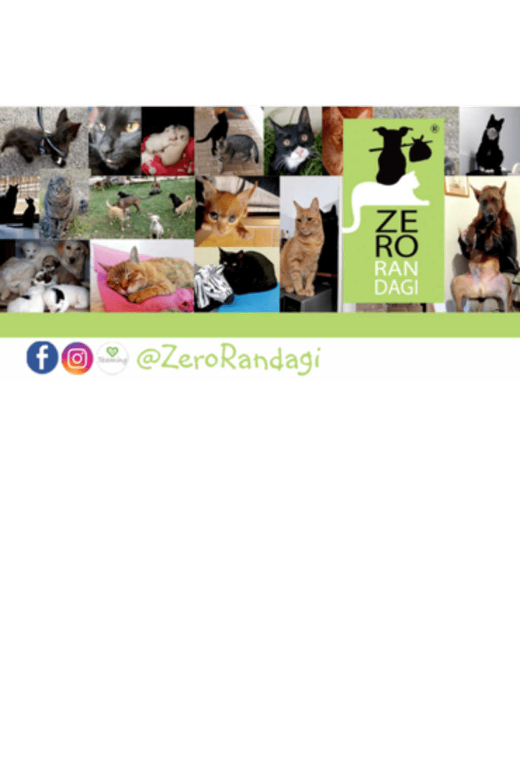 ZeroRandagi FB Cover