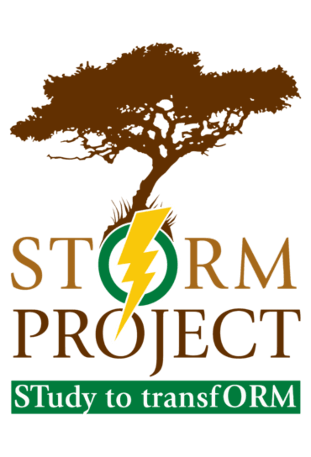 STORM Project-STudy to transfORM