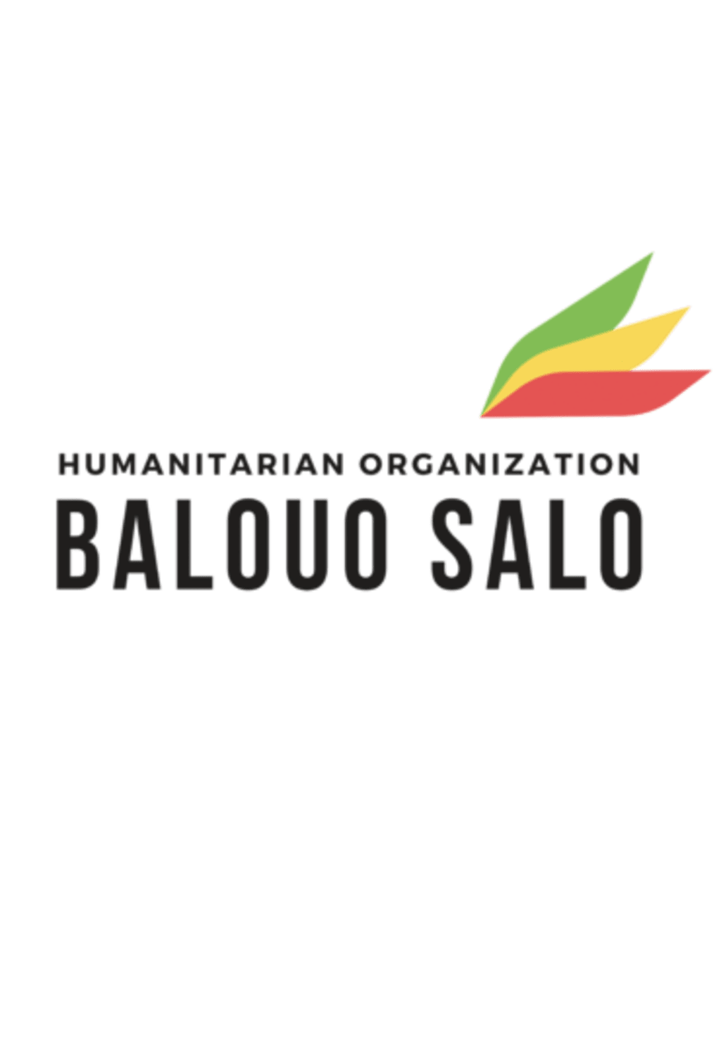 Balouo Salo t-shirt