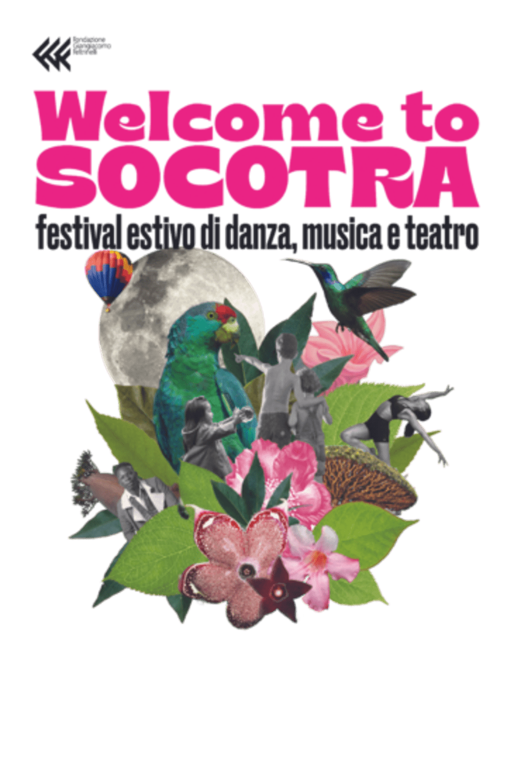 Welcome to Socotra 2022