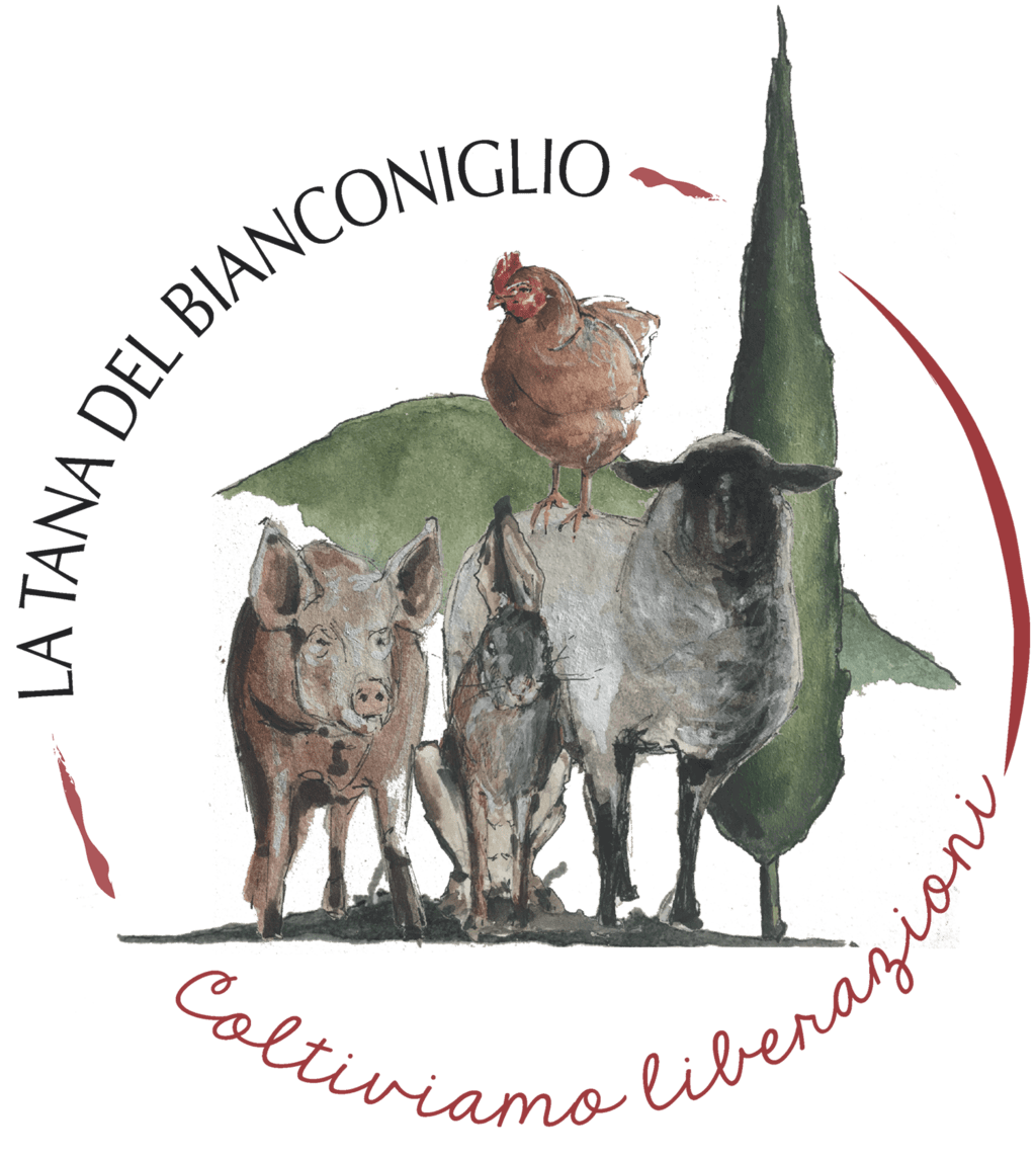 La Tana del Bianconiglio