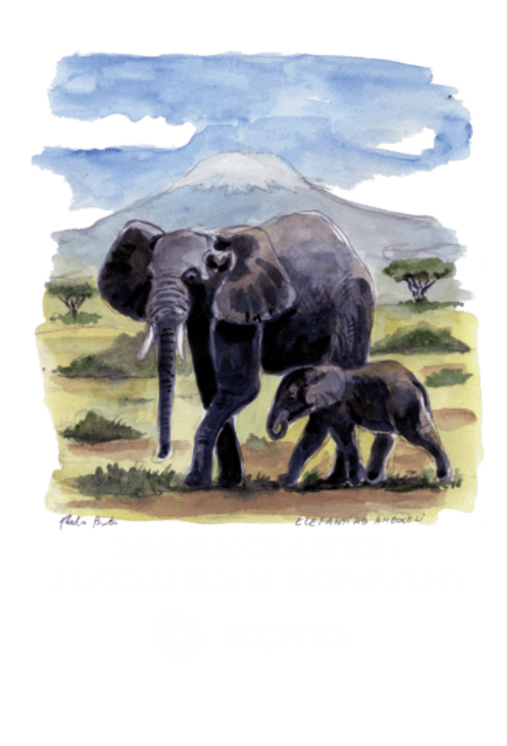 Camminiamo insieme