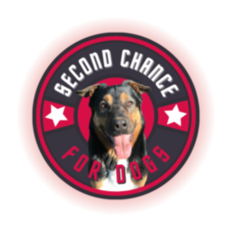 Second Chance For Dogs Italy