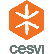 Cesvi