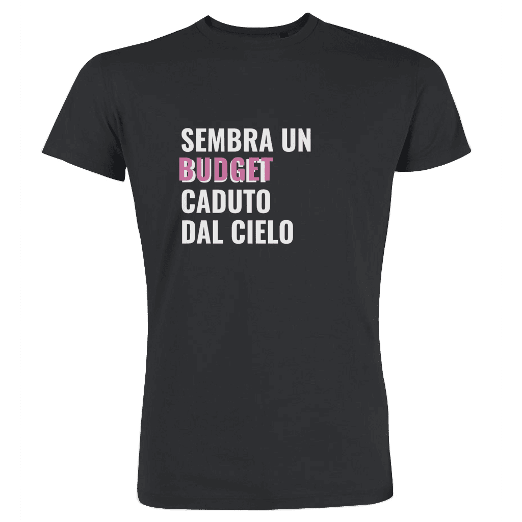 Sembra un budget caduto dal cielo