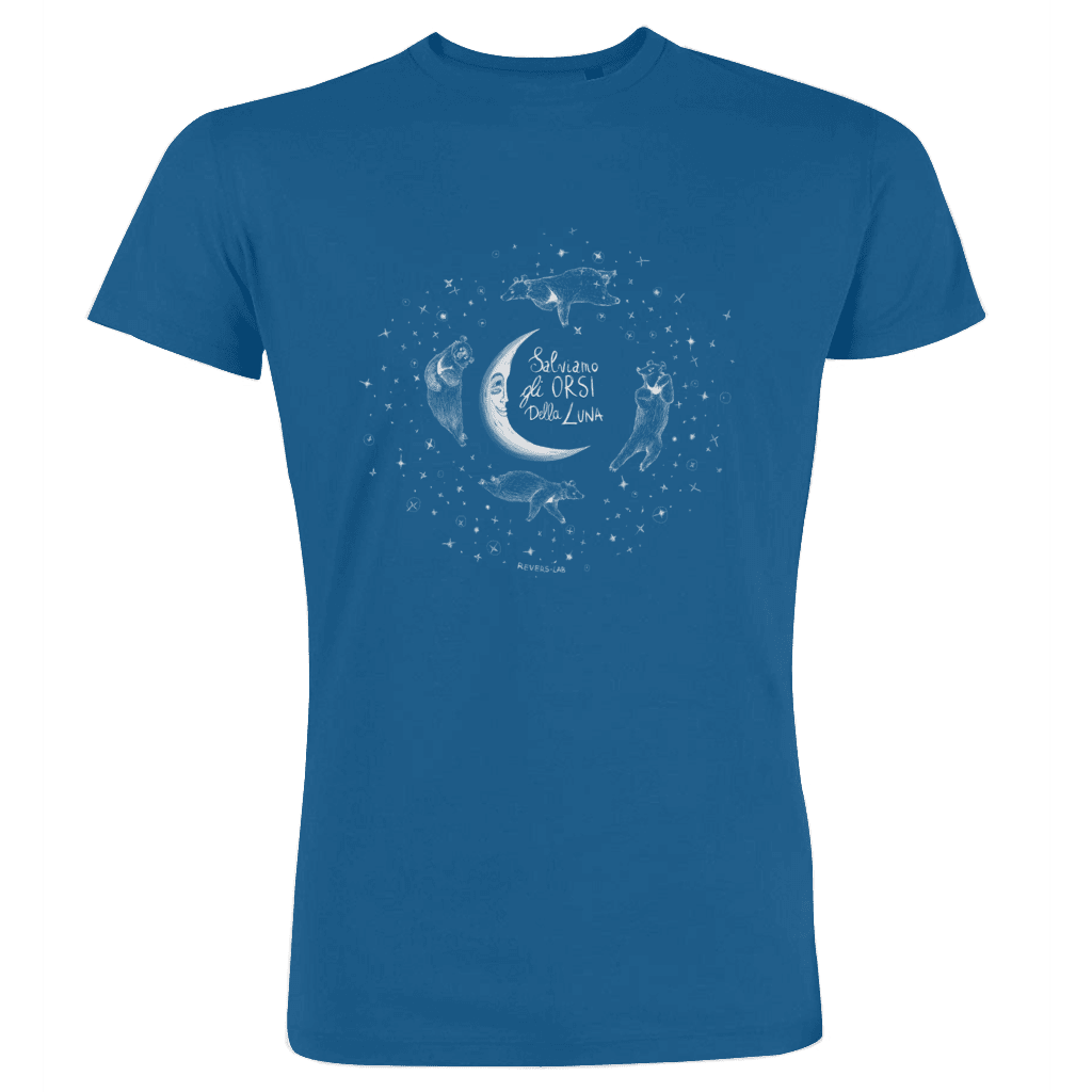 Orsi della Luna tra le stelle