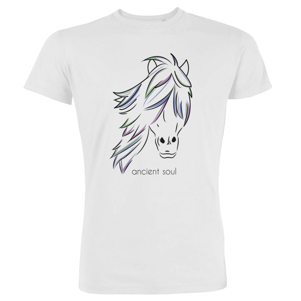 Ancient soul 2