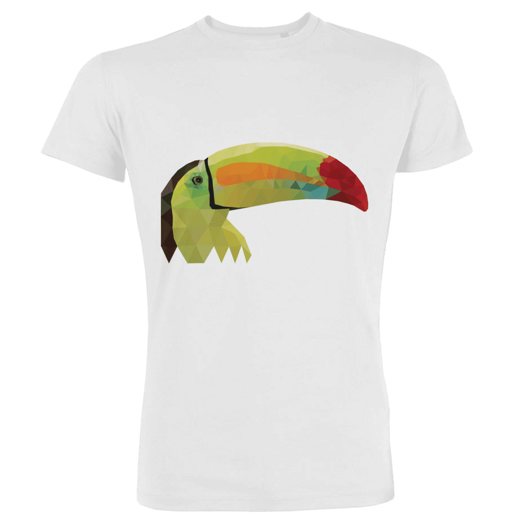 Tucano toco