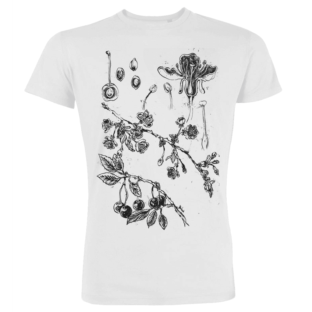 LA CILIEGIA - illustrazione botanica