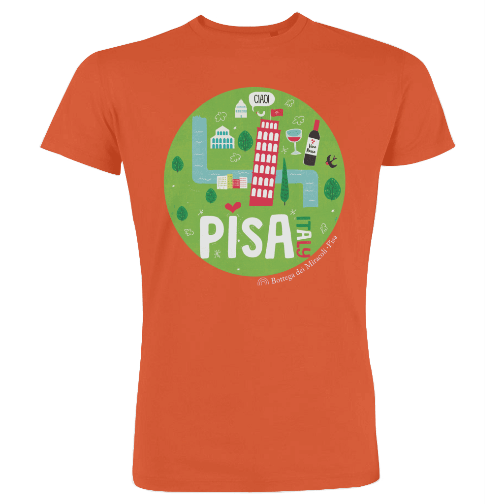 Pisa in nutshell