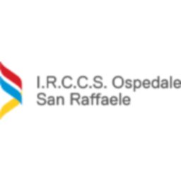 I.R.C.C.S. Ospedale San Raffaele