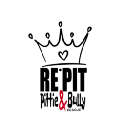 RE PIT ODV - Pittie&Bully Rescue